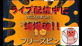 【カジ旅】ライブ中に起きた蜂爆発・・・！！【オンラインカジノ】