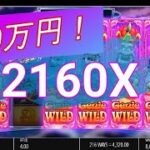 オンラインカジノ【GenieJackpots】2160X   MegaBigwin！カジ旅
