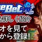 🎰 BeeBet スポーツベット＆カジノの評価 🚨 プロモコード