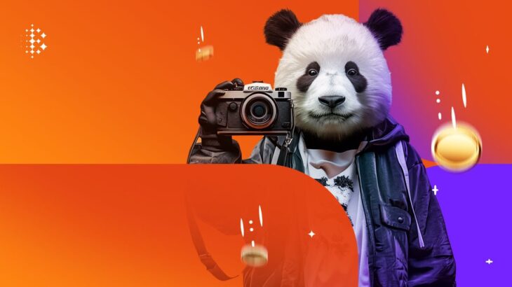 A New Era Has Begun! – Meet the Bitcasino Panda